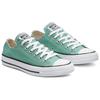Chuck Taylor All Star Low Top Canvas Shoes Unisex Green 163354C