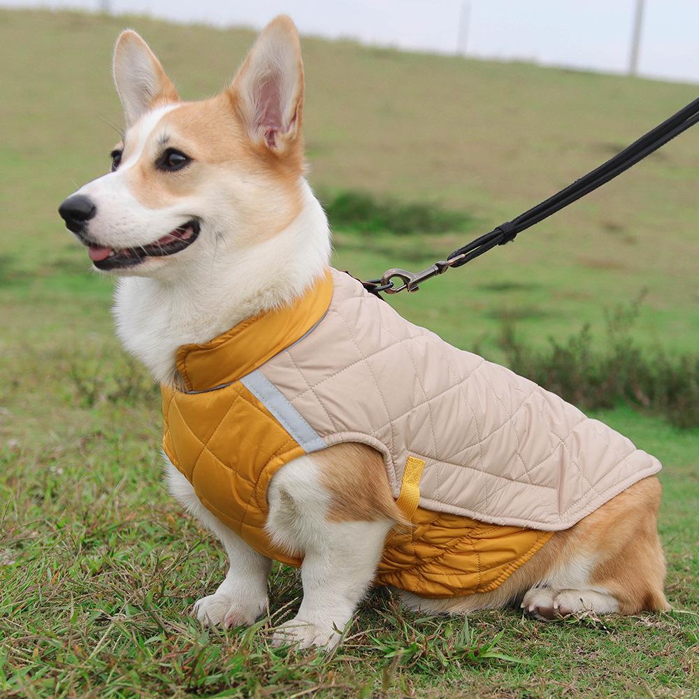 Teplý zimní psí kabát s trakční přezkou pro střední až velké psy: Zlatý retrívr, Border kolie, Korgi