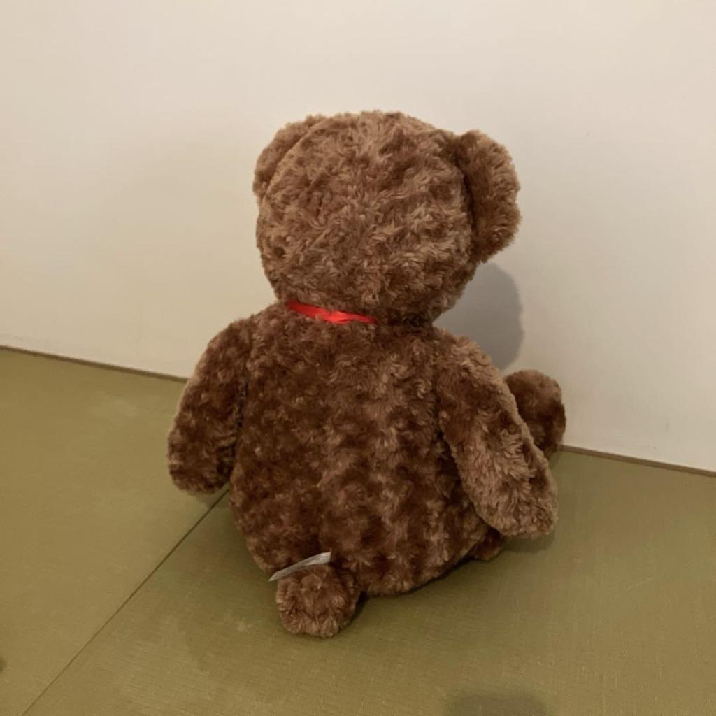 [USED] Teddy bear 50cm