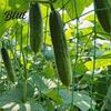 Garden Trellis for Clematis Netting Climbing Plants Heavy Duty Plastic Easy Install Plant Net Netting Support Cucumbers Tomatoes Peas Anti