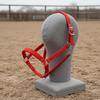 Adjustable Horse Halter Metal Strapping PP Headstall for Equestrians, Stable,