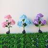 Decorative Lighting LED Hydrangea Lights Simulated Flower Solar Garden Light  Lawn Lighting