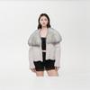 Autumn and Winter New Fur Coat Fashion Autumn and Winter Coat Short Imitation Silver Fox Lapel Women