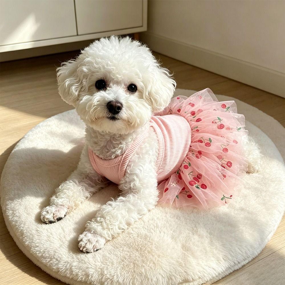 Lace Puppy Skirt Dress Cherry Print Pet Suspender Dress Cute Pet Dog Dress Puppies and Cats