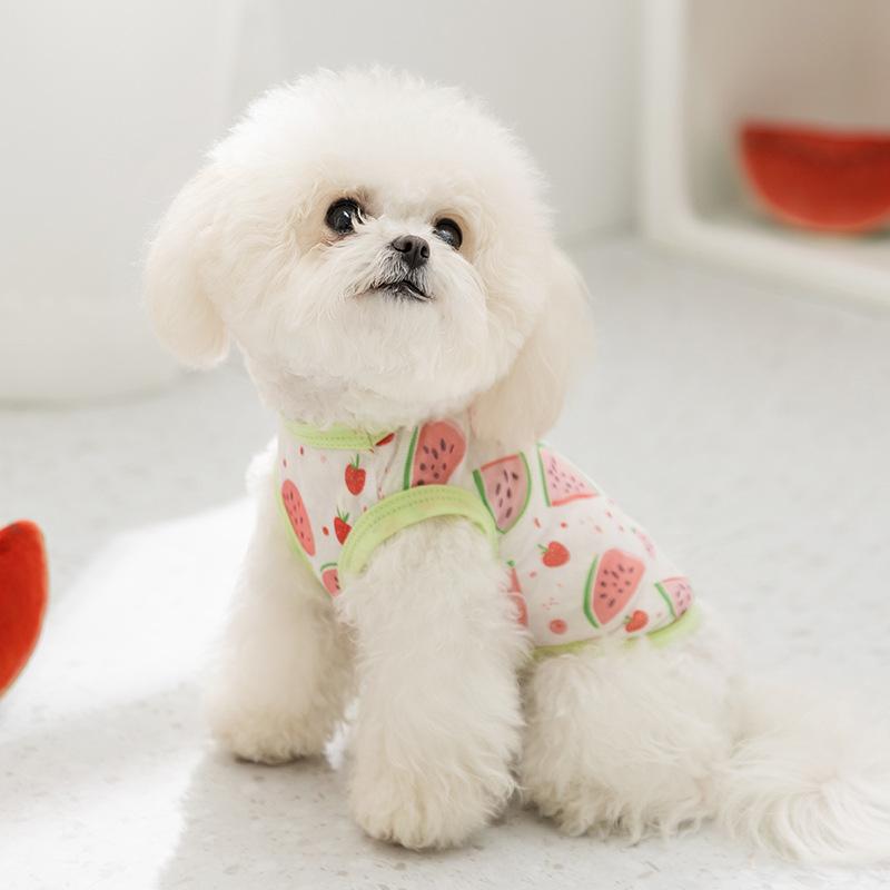 Pet Clothing Spring and Summer Thin Breathable Small Dog Full Printed Mesh Vest Teddy Bigbear Cat Dog Clothing