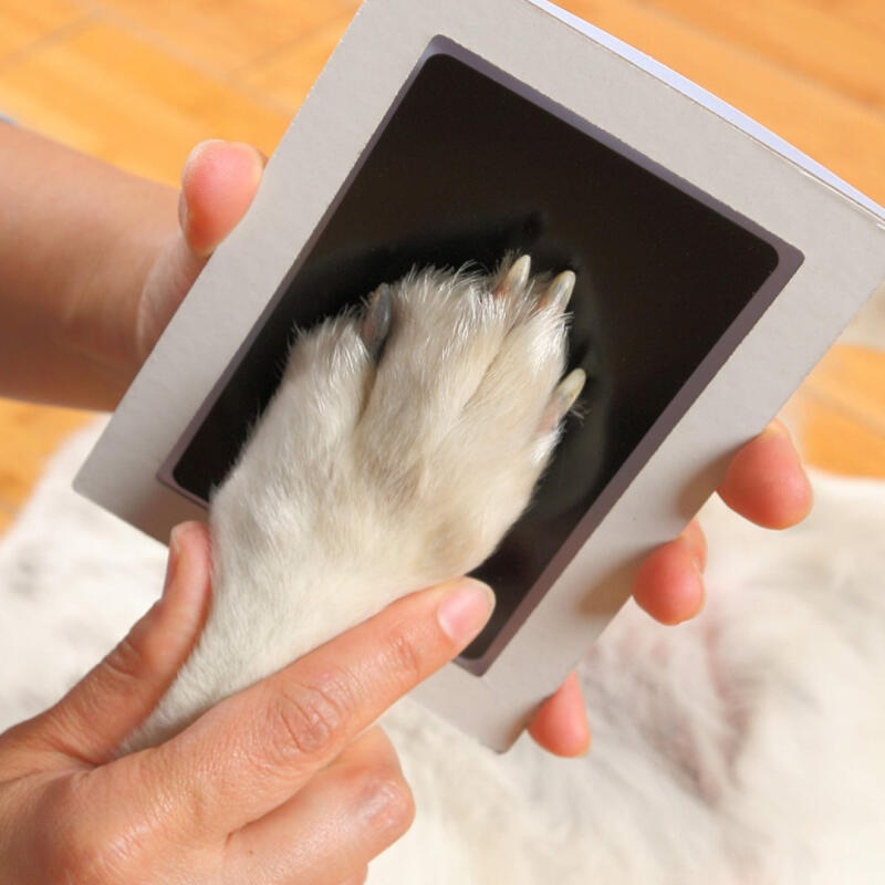 Yavru Köpek Pati İzi Anıları Çerçeve Kiti Ayak İzi Kendinden Damgalı