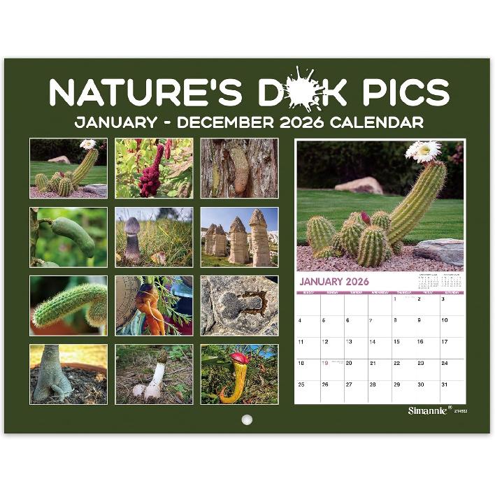 Gag Gifts - Funny 2026 Wall Calendar, 2026 Calendar with Thick Paper, Jan. 2026 - Dec. 2026, 11" x 8.5", Best for White Elephant Gag Gifts