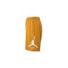Jordan Ess Flc Hbr 9' Short Lb Sports Shorts Men's Khaki FV7310-228