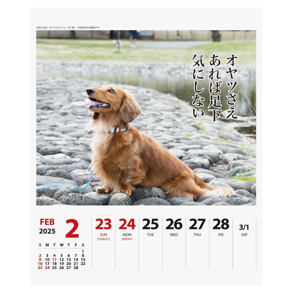 2025 Ducks Senryu (Weekly) Calendar No.024