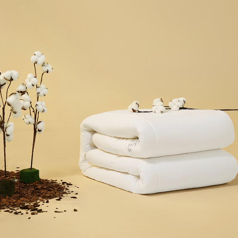 Jingdong Ajindo 100% Xinjiang Cotton Quilt