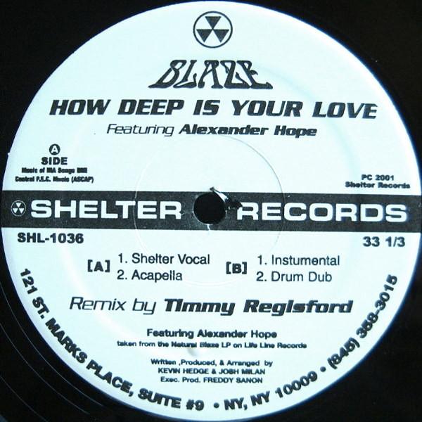 

12-дюймовая пластинка BLAZE ALEXANDER HOPE How Deep Is Your Love SHL1036 Shelter Records 2001 США Танцевальная Электроника Б/у