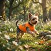 Dog Clothes, Pet Clothes, Mom's Son, Puppy Vest