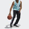 Adidas Derrick Rose Graphic Print Basketball Tank Top Men Tops Mint-Green GV4697