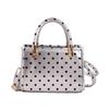 Fashion Polka Dot Small Square Crossbody Bag For Women Casual Daily Commute Shoulder Bag