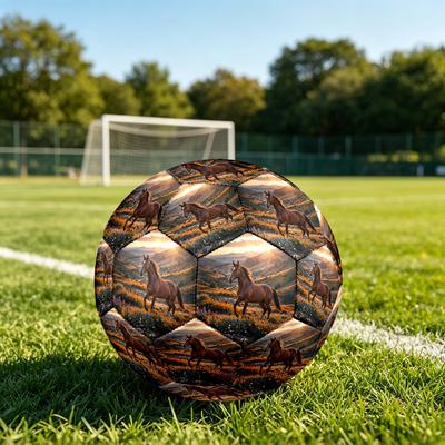 Futbol – Futbol topları