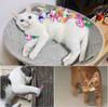 5/10/15pcs Cat Toy Soft Fleece Mouse Cat Toys Funny Playing Toys For Cats With Colorful Feather Plush Mini Mouse Toys Pet Supply