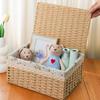 Household Rattan Woven Storage Box For Toys Snacks And Miscellaneous Items Desktop Cosmetic Storage Box