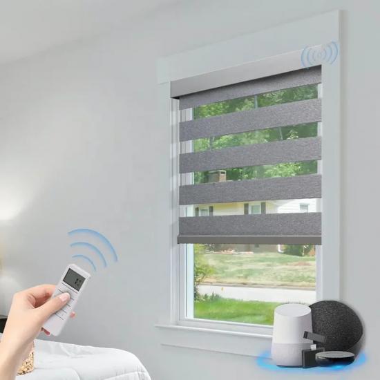 Customized Blackout Smart Tuya Google Wifi Control Exchangeable Motor Dual Layer Roller Zebra Blinds For House
