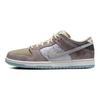 Nike SB Dunk Low "Big Money Savings" Skateboard Shoes FZ3129-200