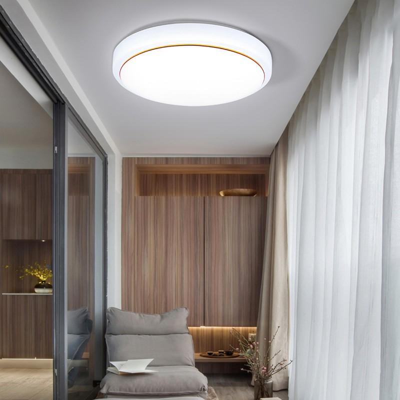 Modern LED Ceiling Light for Living Room and Bedroom