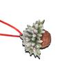 2D Flower Basket Hanging Ornament Hanging Mini Flower Basket Small Bell Pine Cone Pendant  Home