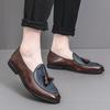 Men's Casual Shoes, Leather Shoes, Men's Spring and Autumn New Large-size Fringed Loafers, Color Matching 38-46 Size Driving Shoes