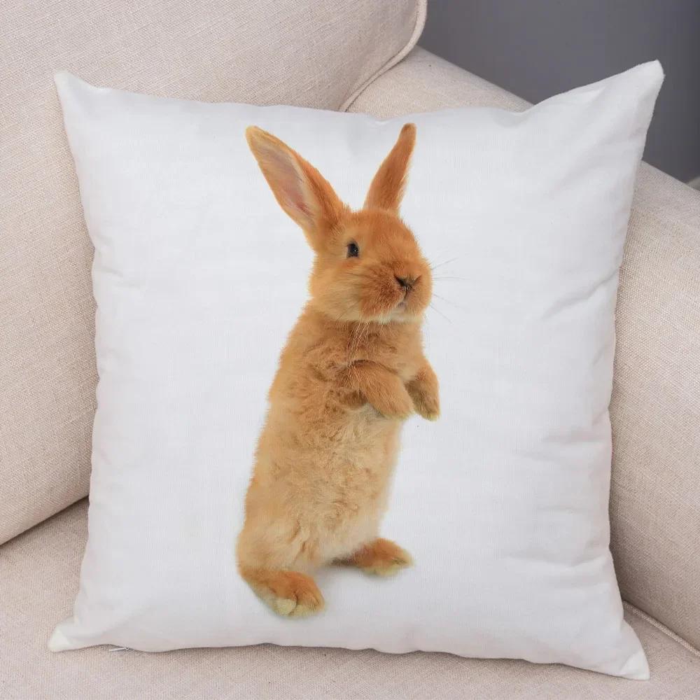 Home Sofa Kids Room Decor Cute Pet Animal Print Cushion Cover Pillowcase  Rabbit