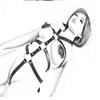 European & American Sexy Black Harness Lingerie Set with BDSM Leg Garter & Fishnet Stockings