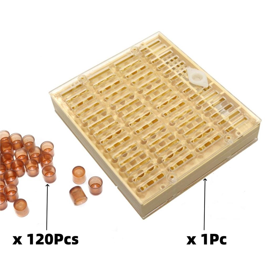 Królowa Matka Hodowla Królowych Pudełko Hodowlane Zestaw 120 Szt. Brązowe Kubeczki Hodowlane 1 Szt. Plastikowa Pokrywa Ochronna Pudełko Hodowlane Akcesoria do Ula
