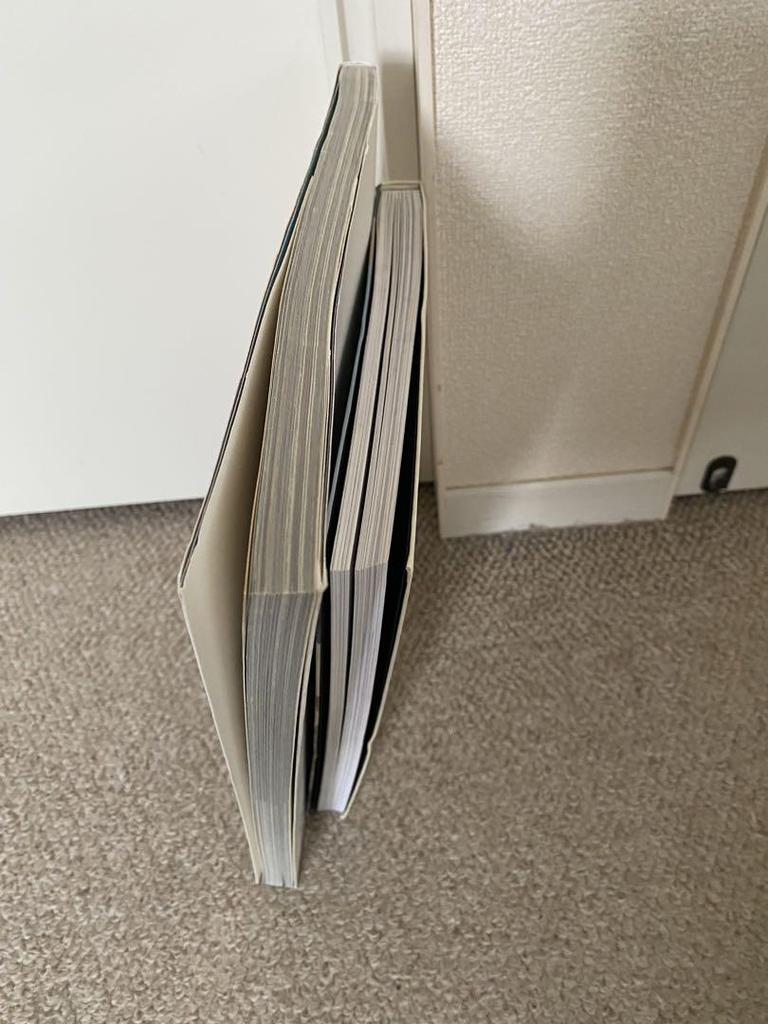 [USED] Frank Lloyd Wright Art Book Set of 2