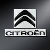 Emblema Metallo Auto Anteriore Posteriore Citroen C4 C3 C5 C1 DS3 DS5 DS4, Jumper Xsara C-Elysee Picasso Sega C-quatre, Adesivo Refit