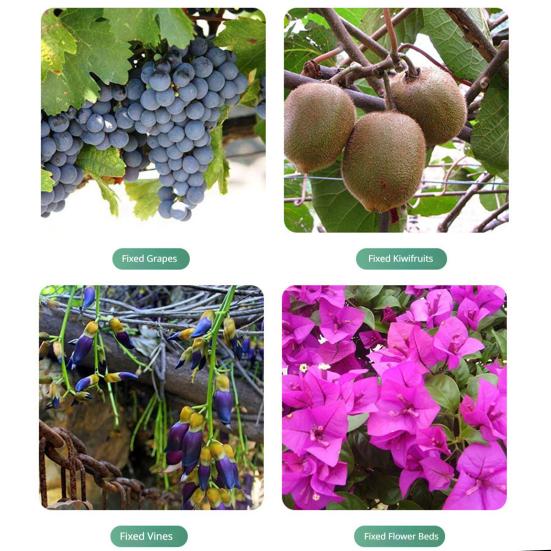 Plant Support Clips Reusable Plastic Garden Clips Tomato Vine Grape Flowers Vegetable Stems Secure Grip Retaining Clips