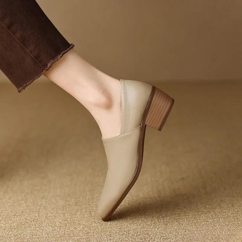 Fashionable Versatile Mid Heeled Women's Thick Heeled Women's Shoes Spring New Style Pointed Elegant Simple Women's Shoes