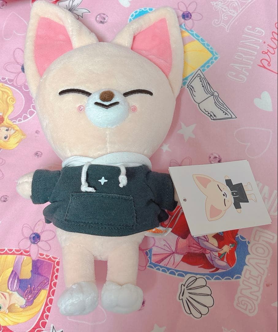 

[USED] Stray Kids Ien Plush Toy