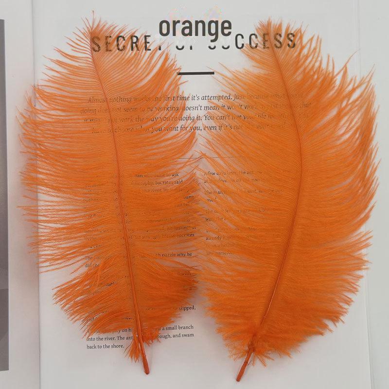 Barevné zavírače na dorty z pštrosího peří a příslušenství