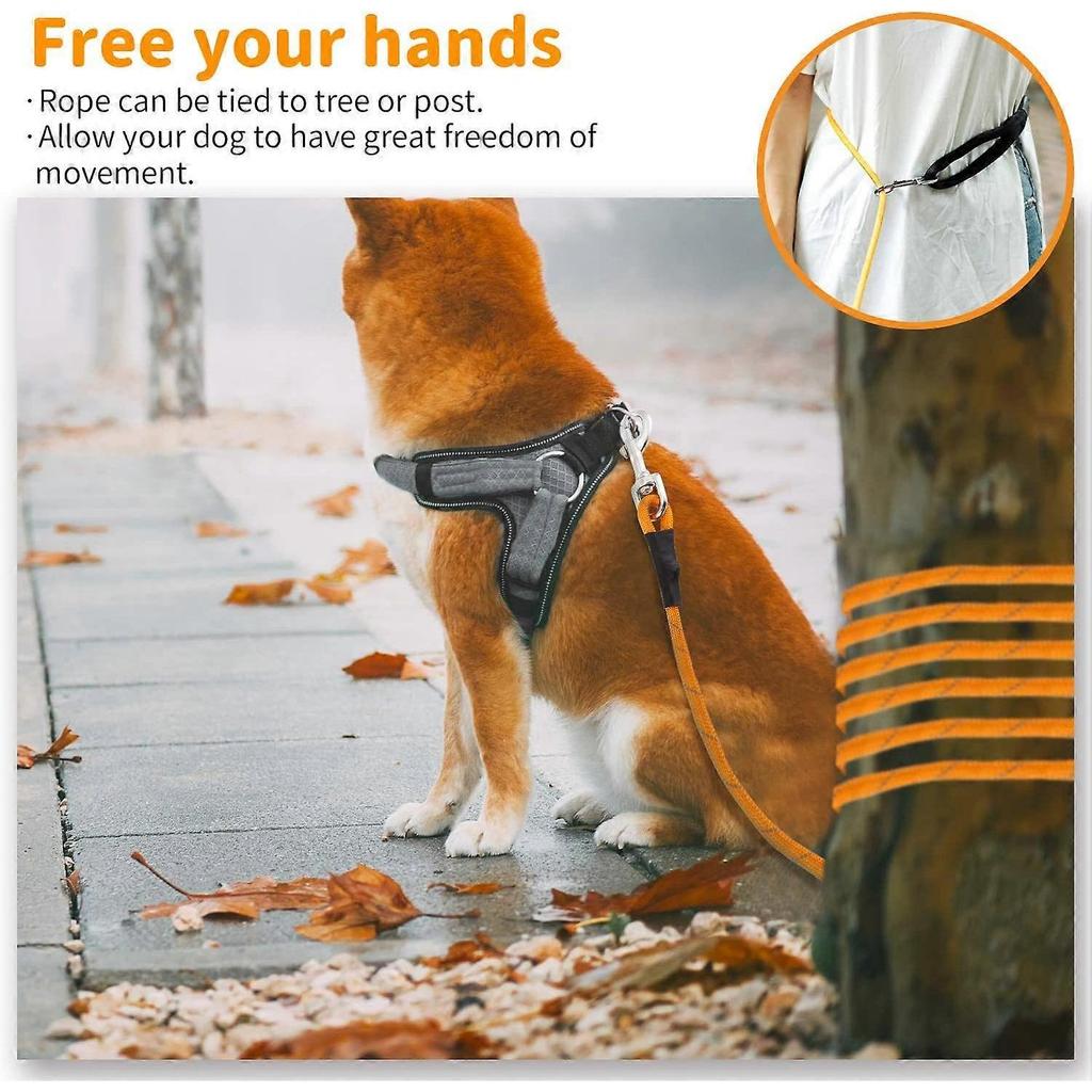 Dog Training Lead Long Dog Line 10m Extra Long Heavy Duty Reflective Dog Leash for Medium Large Dogs