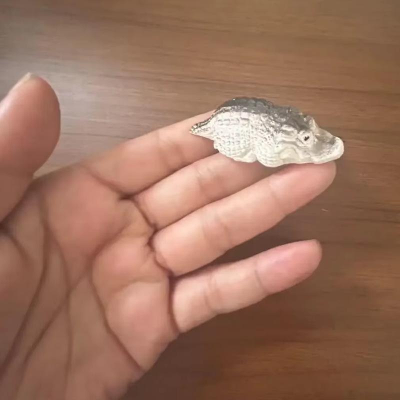 

Cute Baby Crocodile Miniature Hand-Painted, Realistic Texture Statue Desk Decor, Shelf Display, Nature Collection Gift for Kids світло-зелений колір