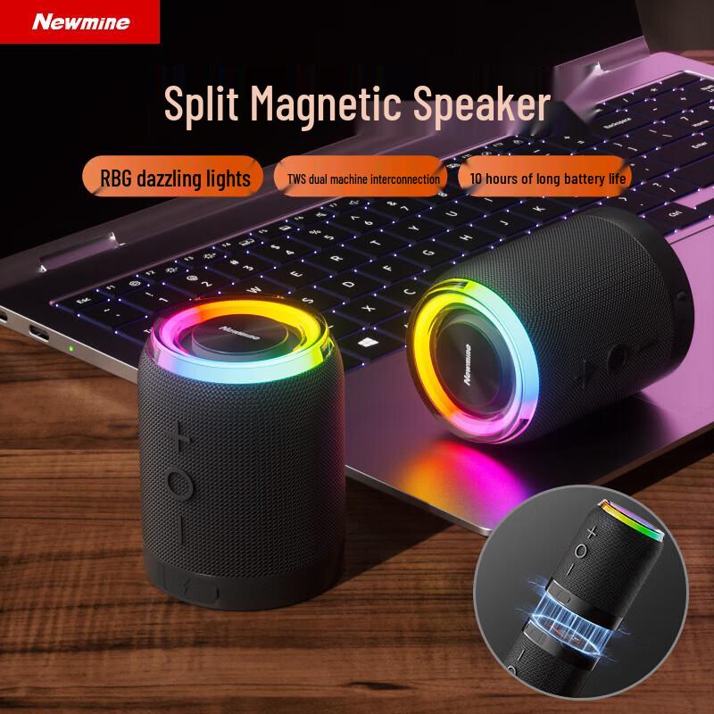 Newmine PBS015 Dual Tragbarer Bluetooth-Lautsprecher (CN-Version)
