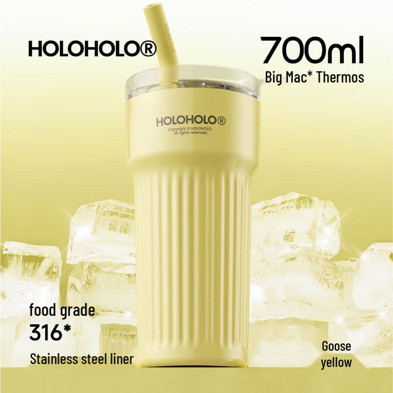 HOLOHOLO 316 Stainless Steel Insulated Straw Tumbler