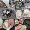 Natural Freshwater Cultured Pearl Beads Irregular Shape Loose Gemstone Jewelry Making Supplies for Necklaces Bracelets