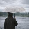 Waterproof Folding Umbrella Thickened Transparent Umbrella Automatic Umbrella  Rainy Day