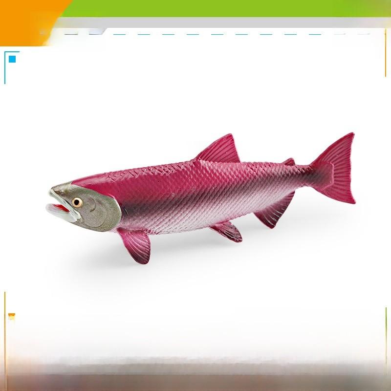 Marine Animal Model Set With Pvc Material Realistic Fish Decor For Aquarium Enthusiasts