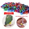 1Pack/40Pcs Digital Bird Foot Rings Inner Diameter 4mm/4.7mm Aluminum Pigeon Parrot Identification Rings Random Number Mix Color