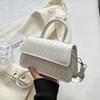 Trendy Street Style Crossbody Bag Chic Handheld Small Square Purse For Daily Use