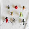 Simulation Insect Uang Cicada Cricket Frog Gardening Micro-landscape Decoration Teaching Refrigerator Stickers