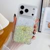 Custodia per Telefono Laccata con Stelle Laccate e Paillettes Scintillanti per iPhone 17 Air 16 15 14 13 12 11 Pro Max Plus Copertura Fosforescente