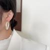 Temperament Large Circle Earrings Women'S Acrylic Retro High-End Stud Earrings Exaggerated Earrings Hipster Versatile Personalized Earrings