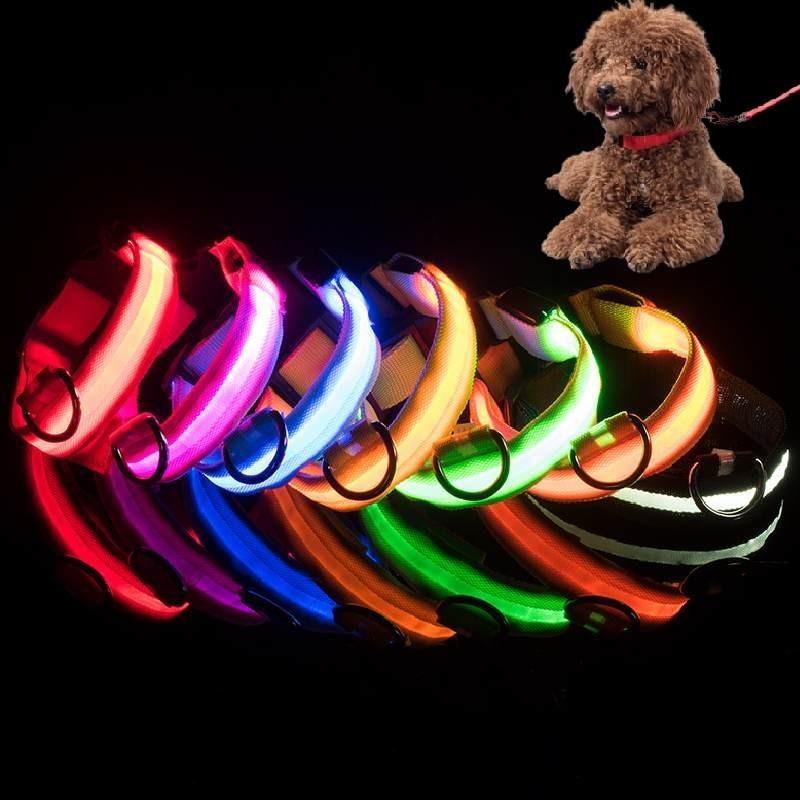 Brightly Colored Led Dog Collar Rechargeable Light-up Neckband For All Size Dogs