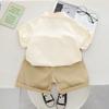 Baby Sets Boys Girls Summer Clothes Casual Panda Print T-shirts + Shorts Suits Outfits Children Chinoiserie Cartoon Clothing Sets