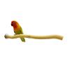 Parrot Wood Claw Grinding Stick & Branch Cage Accessory